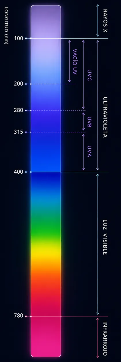 Espectro electromagnético que muestra la posición de la luz ultravioleta UV-C entre 100 y 280 nanómetros dentro del rango germicida, junto a UVB, UVA y luz visible