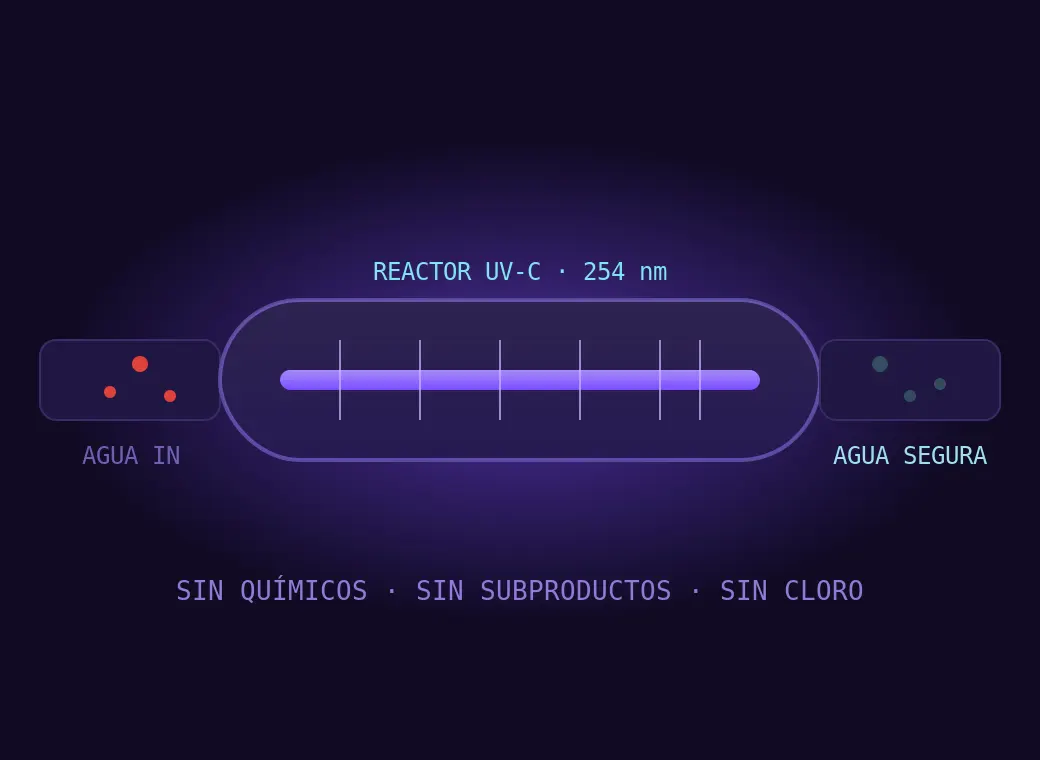 Esquema del reactor UV-C: el agua entra con microorganismos y sale segura, sin quimicos ni subproductos