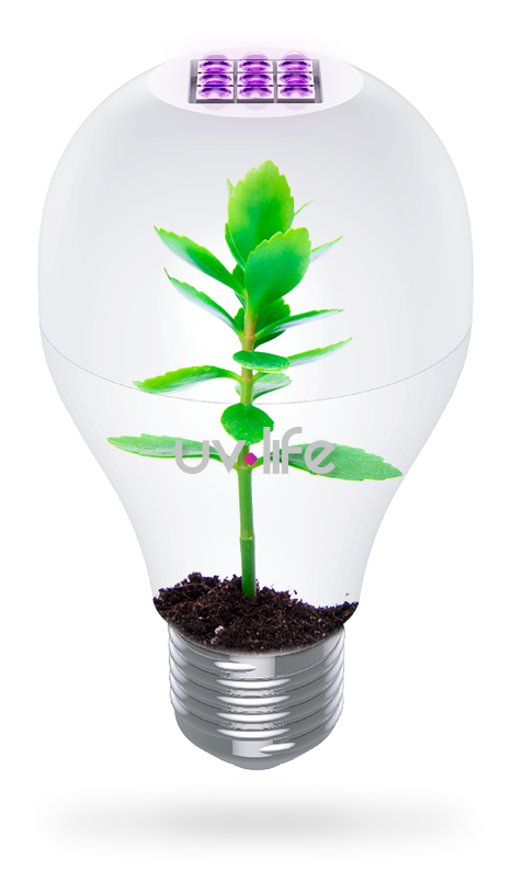 a60_verde_eco_Sanitización-desinfección-ultravioleta sanitización-desinfección-ultravioleta