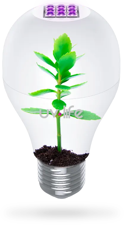 ampolletas focos uv life desinfeccion ultravioleta uvc ecofriendly ampolletas focos uv life desinfeccion ultravioleta uvc ecofriendly